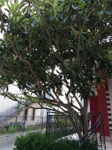 Villa Lina in กาสเตลโวลตูร์โน Villa Lina in กาสเตลโวลตูร์โน