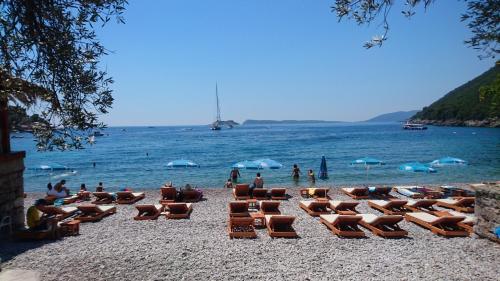 شاطئ, Apartmani Lazarevic in Mirista شاطئ, Apartmani Lazarevic in Mirista
