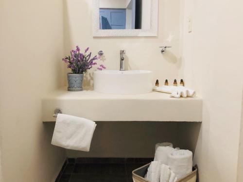 Bathroom, Hotel Boutique Villa Balu in Centro Bathroom, Hotel Boutique Villa Balu in Centro
