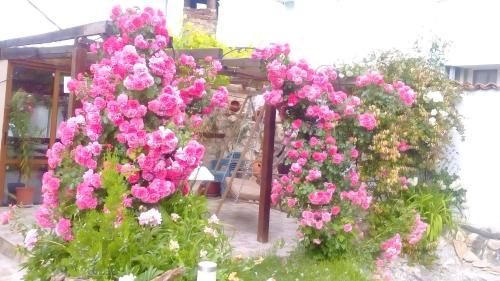 This photo about Draganovi Guest House shared on HyHotel.com