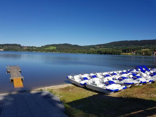 Sport Apartment in Lipno nad Vltavou Sport Apartment in Lipno nad Vltavou
