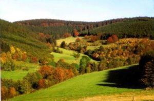 This photo about Hotel Zuschenwald shared on HyHotel.com