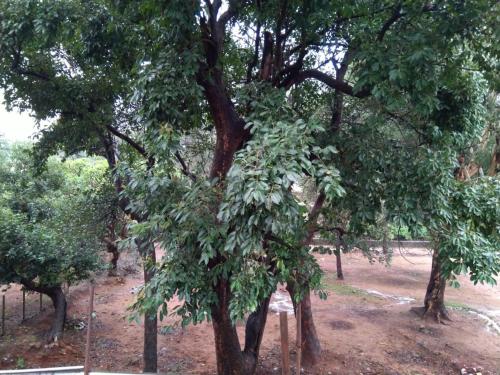 Condo Hotel A Unit of RAJVIHAR in Pachmarhi Condo Hotel A Unit of RAJVIHAR in Pachmarhi