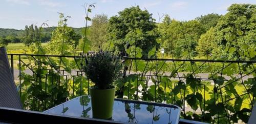 Balcony/terrace, Ferienwohnung An der Dorfmauer in Sommerach Balcony/terrace, Ferienwohnung An der Dorfmauer in Sommerach