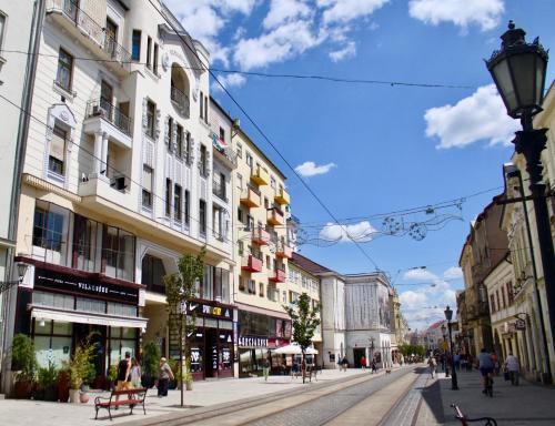 外部景觀, City Center Apartman - Weidlich Palace - Miskolc in 米什科爾茨 外部景觀, City Center Apartman - Weidlich Palace - Miskolc in 米什科爾茨