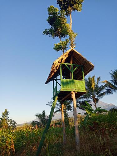 Parc infantil, Mudung Keramat Homestay in Mekar Sari Parc infantil, Mudung Keramat Homestay in Mekar Sari