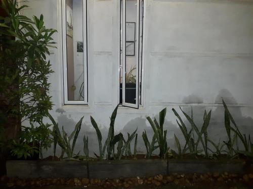 This photo about Sandy shared on HyHotel.com