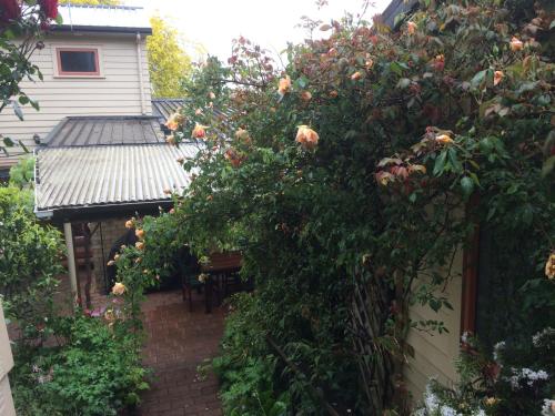 สวน, Waitomo Caves Guest Lodge in ไวอิโตโม สวน, Waitomo Caves Guest Lodge in ไวอิโตโม