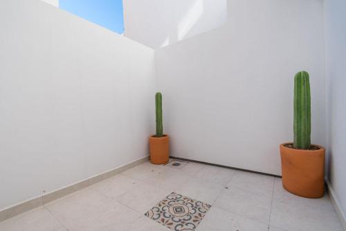 JUUB @ THE CENTER OAXACA (R2) in Oaxaca JUUB @ THE CENTER OAXACA (R2) in Oaxaca