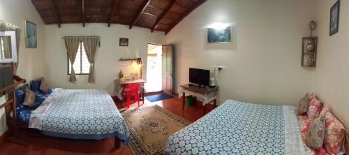 The Blue Mountains Estate Stay in Napoklu The Blue Mountains Estate Stay in Napoklu