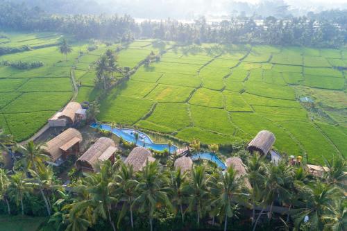 Beehouse Dijiwa Ubud