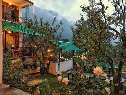 Madpackers Manali in Manali Madpackers Manali in Manali