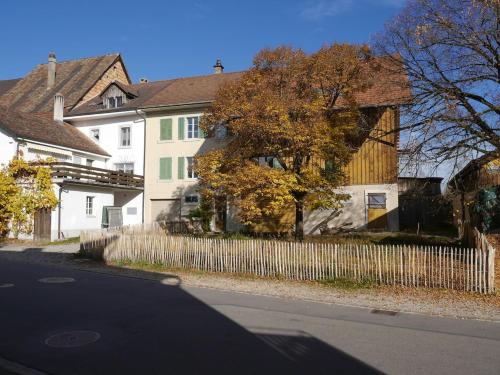 spacious 3 room house with garden in Hallau spacious 3 room house with garden in Hallau