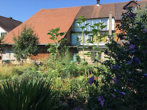 Garden, spacious 3 room house with garden in Hallau Garden, spacious 3 room house with garden in Hallau