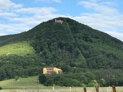Nearby attraction, Barocker Hof Rhodt in Rhodt unter Rietburg Nearby attraction, Barocker Hof Rhodt in Rhodt unter Rietburg