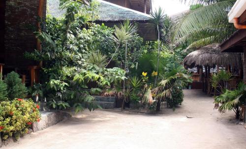 เจเจเอส แบคแพคเกอร์ วิลเลจ (JJS BACKPACKERS VILLAGE) in เกาะซีกีคอร์ เจเจเอส แบคแพคเกอร์ วิลเลจ (JJS BACKPACKERS VILLAGE) in เกาะซีกีคอร์