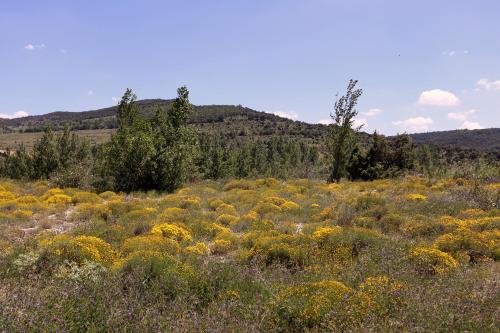 A környék, Casa Enpiera III - Turistrat in Cinctorres A környék, Casa Enpiera III - Turistrat in Cinctorres