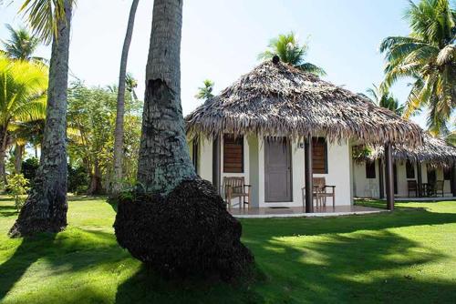 Сад, Belo Vula Island Resort in Лаутока Сад, Belo Vula Island Resort in Лаутока