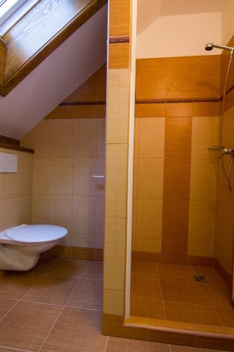 ห้องน้ำ, Apartment Rokys in โรคีท์นิซ นาด จิเซรู ห้องน้ำ, Apartment Rokys in โรคีท์นิซ นาด จิเซรู