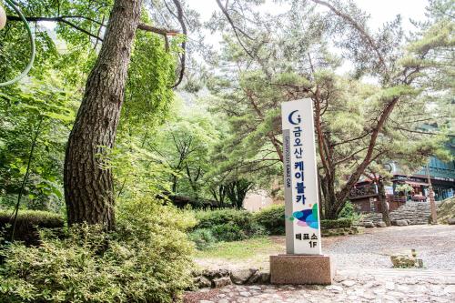 액티비티, 호텔 금오산 (Hotel Geumosan) in 구미