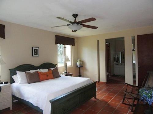 Gardenia- 3BR Dorado- Ocean Views + 3 pools in Vega Alta Gardenia- 3BR Dorado- Ocean Views + 3 pools in Vega Alta