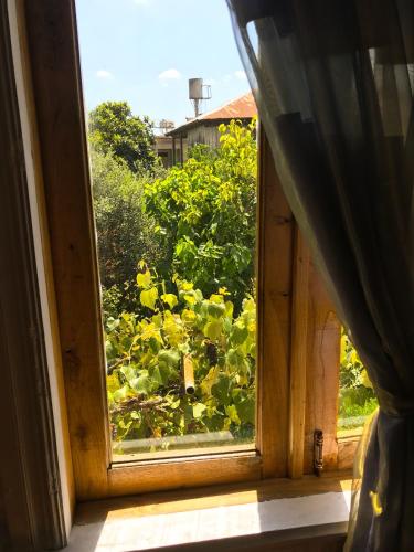 Näkymä, DEA in Zugdidi Näkymä, DEA in Zugdidi
