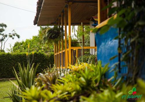 Garden, El Laurel Finca Agroturistica in El Laurel Garden, El Laurel Finca Agroturistica in El Laurel