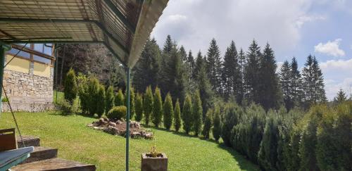 Green Forest in Влашич Green Forest in Влашич
