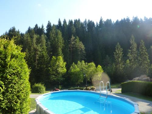 Úszómedence, Ferienhaus Oitzl in Notsch Im Gailtal Úszómedence, Ferienhaus Oitzl in Notsch Im Gailtal