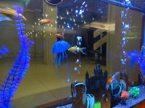 This photo about Hotel Cadi Palace shared on HyHotel.com