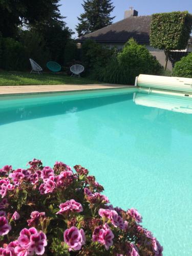 Πισίνα, Le Clos Saint-Brice in Saint-Brice-en-Cogles Πισίνα, Le Clos Saint-Brice in Saint-Brice-en-Cogles