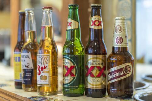 Food and beverages, Hotel Blume / El Azteca near Tourist Museum Food and beverages, Hotel Blume / El Azteca near Tourist Museum