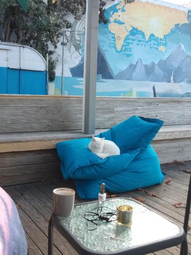 Jack's Backpackers in Blenheim Jack's Backpackers in Blenheim