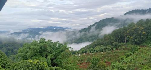 Doitung Home stay(ดอยตุงโฮมสเตย์2) in Mae Fa Luang Doitung Home stay(ดอยตุงโฮมสเตย์2) in Mae Fa Luang