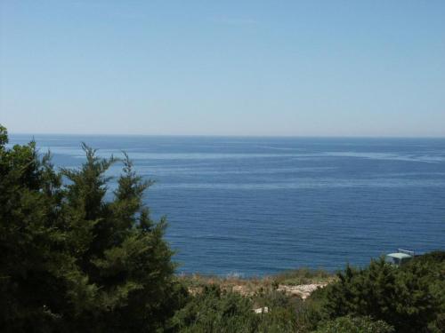 Hotel Studio Milna 555a