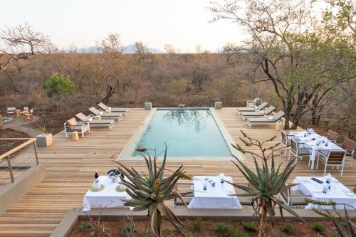 Svømmebasseng, Unembeza Boutique Lodge in Hoedspruit Svømmebasseng, Unembeza Boutique Lodge in Hoedspruit