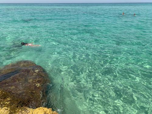 ชายหาด, WePuglia - Suite Martino Seaview in กาปิโตโล ชายหาด, WePuglia - Suite Martino Seaview in กาปิโตโล