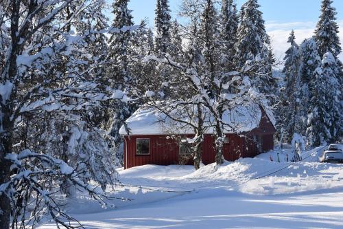Skeikampen Booking in Svingvoll Skeikampen Booking in Svingvoll