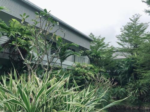 プーカマラスイート19