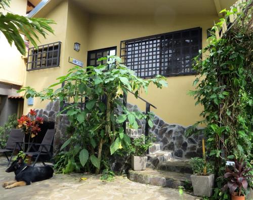 Facilities, Pura Vida Hotel in Alajuela Facilities, Pura Vida Hotel in Alajuela