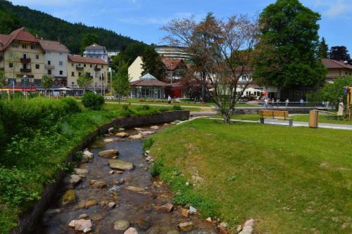 A környék, Nashira Schwarzwald in Bad Herrenalb A környék, Nashira Schwarzwald in Bad Herrenalb