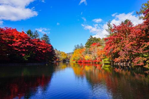 Surrounding environment, Karuizawa Pension Sato no Nukumori in Karuizawa Surrounding environment, Karuizawa Pension Sato no Nukumori in Karuizawa