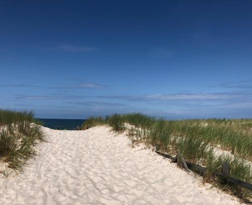 Pantai, Dzika Plaża Wierzchucino (Dzika Plaza Wierzchucino) in Wierzchucino Pantai, Dzika Plaża Wierzchucino (Dzika Plaza Wierzchucino) in Wierzchucino