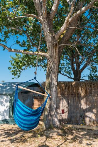 Camping Gradina in سوزوبول Camping Gradina in سوزوبول