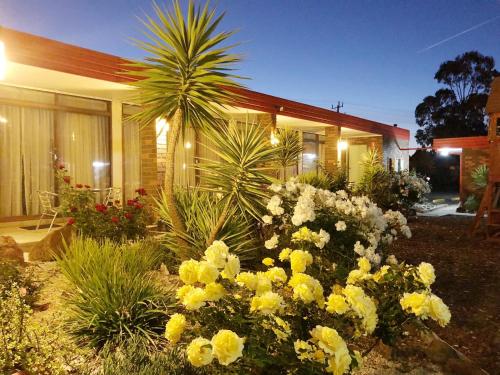Сад, Statesman Motor Inn in Арарат Сад, Statesman Motor Inn in Арарат