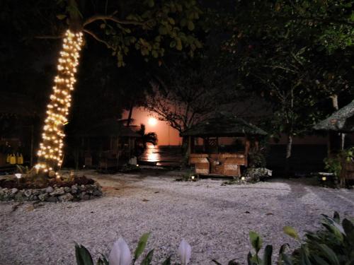 AJ's Place Beach Resort in Oslob AJ's Place Beach Resort in Oslob