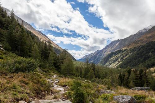 المنطقة المحيطة, Cafe Landerl in ماتريى إن أوست تريول المنطقة المحيطة, Cafe Landerl in ماتريى إن أوست تريول