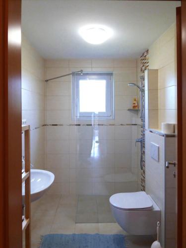 Bathroom, Apartment Galerija in Radovljica Bathroom, Apartment Galerija in Radovljica