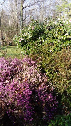 l'embellie in Milly-la-Foret l'embellie in Milly-la-Foret
