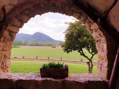 Mas Collell in Vall D'En Bas Mas Collell in Vall D'En Bas